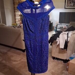 Tadashi Shoji Royal Blue Lace Midi Dress